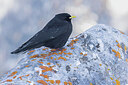 BUITEN BEELD Foto: 451712