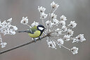 BUITEN BEELD Foto: 451742