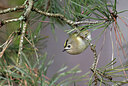 BUITEN BEELD Foto: 451751