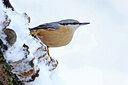 BUITEN BEELD Foto: 451756