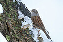 BUITEN BEELD Foto: 451760