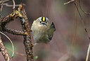BUITEN BEELD Foto: 451791