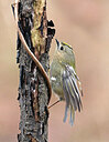BUITEN BEELD Foto: 451792
