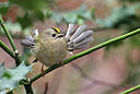 BUITEN BEELD Foto: 451800