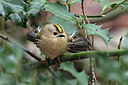 BUITEN BEELD Foto: 451801