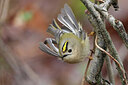 BUITEN BEELD Foto: 451803