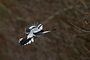 BUITEN BEELD Foto: 451828
