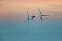 BUITEN BEELD Foto: 451833