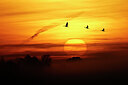 BUITEN BEELD Foto: 451835