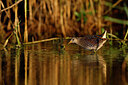BUITEN BEELD Foto: 451841