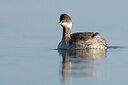 BUITEN BEELD Foto: 451898