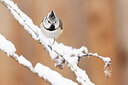 BUITEN BEELD Foto: 451901