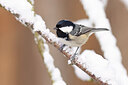 BUITEN BEELD Foto: 451905