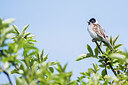 BUITEN BEELD Foto: 451918