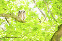 BUITEN BEELD Foto: 451937