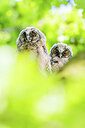 BUITEN BEELD Foto: 451939