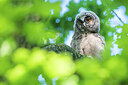 BUITEN BEELD Foto: 451940
