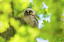BUITEN BEELD Foto: 451941