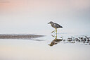BUITEN BEELD Foto: 451942