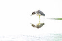 BUITEN BEELD Foto: 451943