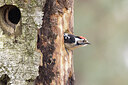 BUITEN BEELD Foto: 451975