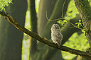 BUITEN BEELD Foto: 451983