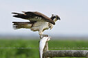 BUITEN BEELD Foto: 452032
