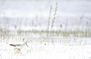 BUITEN BEELD Foto: 452095