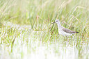 BUITEN BEELD Foto: 452098