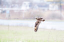 BUITEN BEELD Foto: 452104