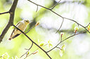 BUITEN BEELD Foto: 452106