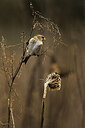 BUITEN BEELD Foto: 452124