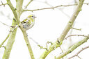 BUITEN BEELD Foto: 452125