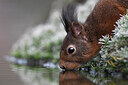 BUITEN BEELD Foto: 452135