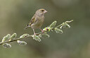 BUITEN BEELD Foto: 452159