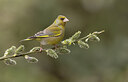 BUITEN BEELD Foto: 452160