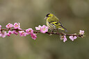 BUITEN BEELD Foto: 452169