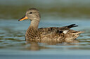 BUITEN BEELD Foto: 452200
