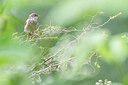 BUITEN BEELD Foto: 452212