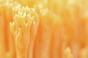 BUITEN BEELD Foto: 452231