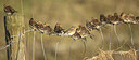 BUITEN BEELD Foto: 452243