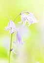 BUITEN BEELD Foto: 452282