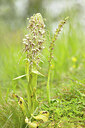 BUITEN BEELD Foto: 452291