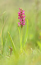 BUITEN BEELD Foto: 452293