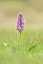 BUITEN BEELD Foto: 452301