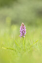 BUITEN BEELD Foto: 452302