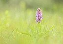 BUITEN BEELD Foto: 452303