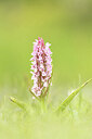 BUITEN BEELD Foto: 452304