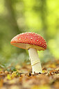 BUITEN BEELD Foto: 452326