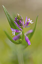 BUITEN BEELD Foto: 452330